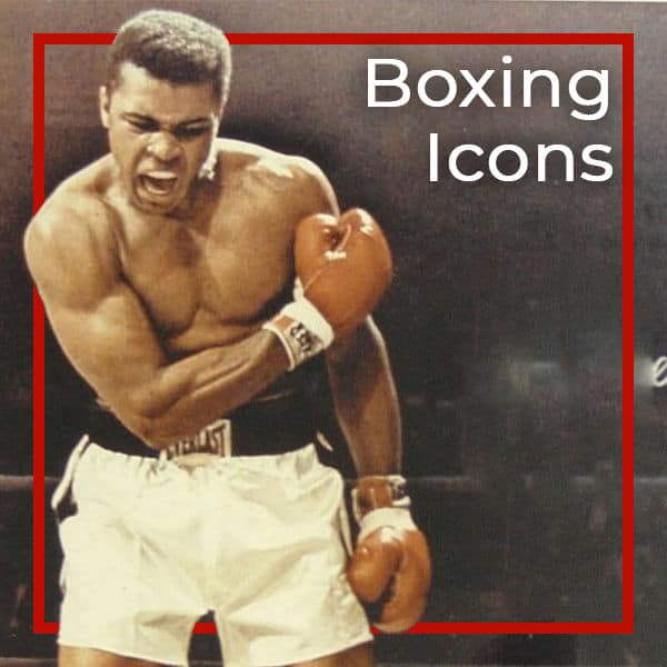 Boxing Icon T-shirts